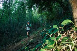 BIB: 
                            <button type="button" onclick="openModal(28124721)" class="btn btn-primary btn-sm float-right btn-popup" data-toggle="modal" data-target=".modal-high-quality">
                        <i class="fas fa-shopping-cart"></i> Add to Cart
                    </button>
                                            <button type="button" onclick="isThisMe(28124721, true)" class="btn btn-success btn-sm float-right btn-popup btn-isme hidden" data-toggle="tooltip" data-placement="bottom" title="นี่คือรูปของคุณใช่ไหม คลิกที่นี่เพื่อเอาเข้าอัลบั้ม">
                        <i class="fas fa-plus"></i> Add to album
                    </button>
                    <button type="button" onclick="isThisMe(28124721, false)" class="btn btn-warning btn-sm float-right btn-popup btn-isnotme hidden">
                        <i class="fas fa-ban"></i> Remove from album
                    </button>